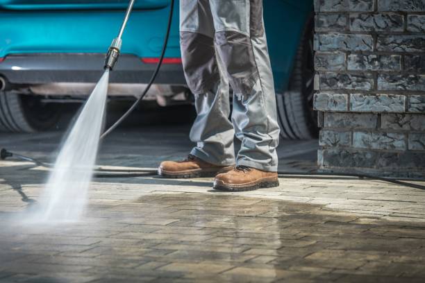 Best Gutter Cleaning  in Rincon Valley, AZ